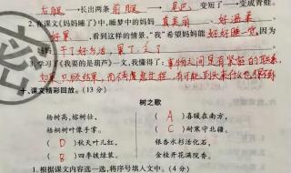 二年级语文质量检侧试卷分析命题分析与评价存在的问题是什么 二年级语文试卷